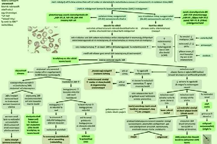 Isabella, 29 — Escort in Igapora, Brazil