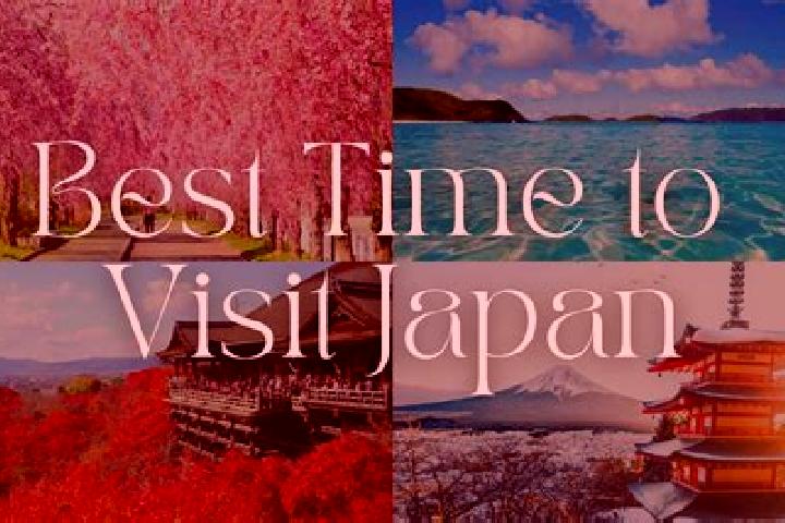 Isabella, 29 — Escort in Sekimachi-minami, Japan