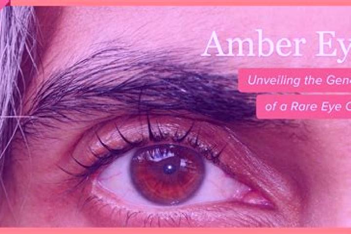 Isabella, 30, a black amber-eyed latina companion based in Dienstweiler. Offering A-Level, Erotic Massage, Prostate Massage. Available for incall and outcall...