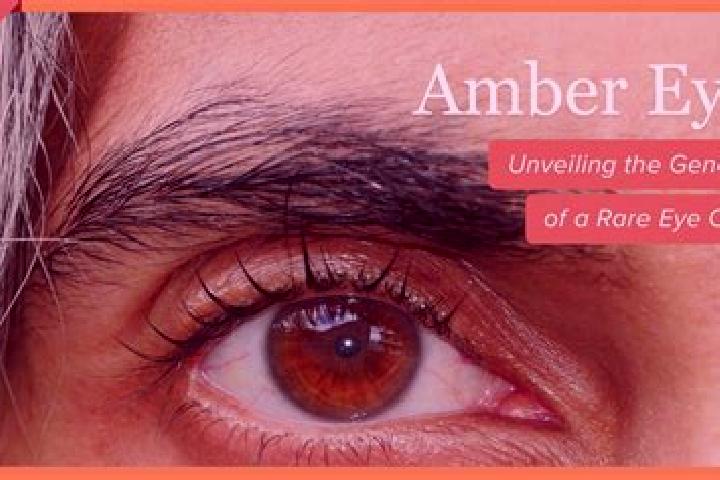 Isabella, 30, a red amber-eyed european companion based in Santa Cruz Xaltetela. Offering BDSM, Domination, Striptease. Available for incall and outcall, ove...