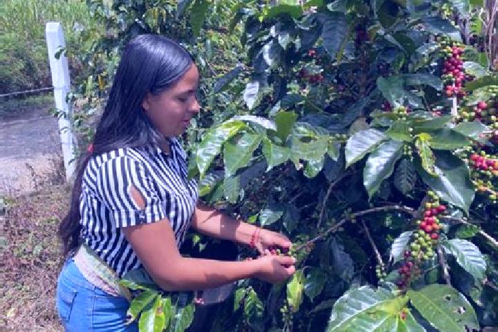 Isabella, 31 — Escort in Chitaraque, Colombia