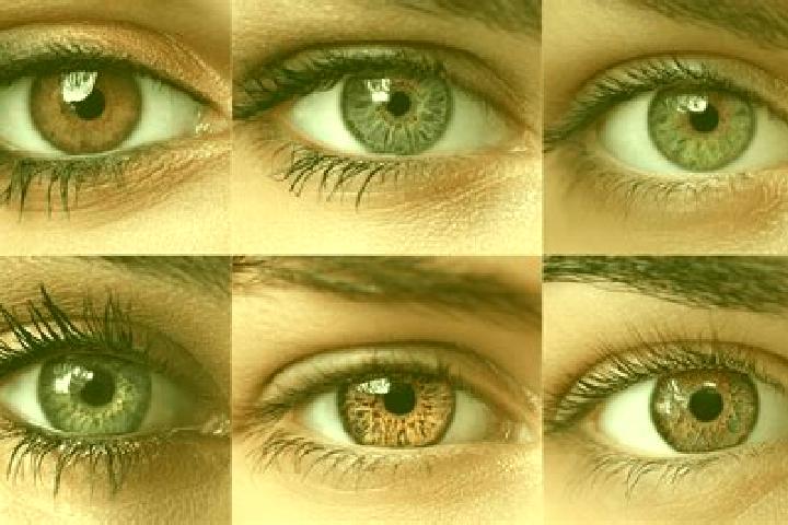Isabella, 32, a chestnut hazel-eyed middle eastern companion based in El Pangui. Offering Massage, Domination, Duos. Available for incall and outcall, day an...