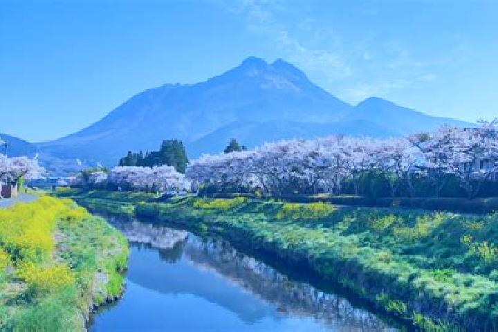 Isabella, 33 — Escort in Yufu, Japan