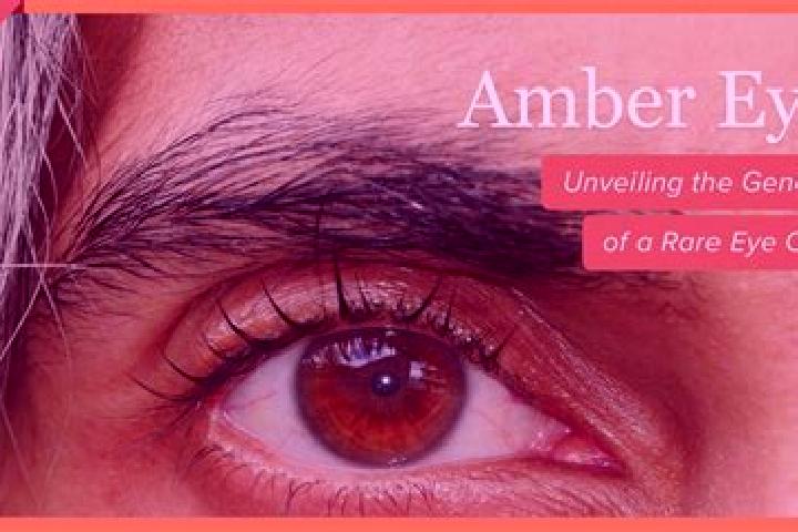 Isabella, 34, a red amber-eyed caucasian companion based in Rohia. Offering Massage, GFE. Available for incall and outcall, overnight bookings available.