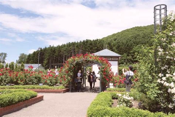 Isabella, 36 — Escort in Iwamizawa, Japan