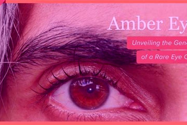 Isabella, 38, a black amber-eyed caribbean companion based in Tiepli. Offering Duos, BDSM, Tantra. Available for incall and outcall, day and evening dates.