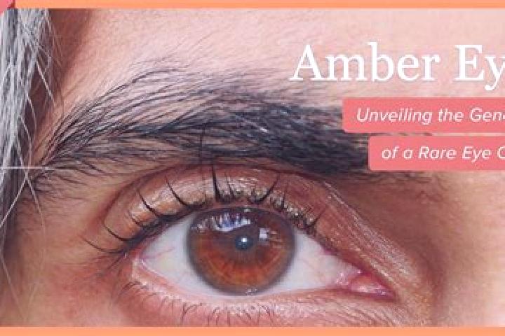 Isabella, 38, a black amber-eyed caribbean companion based in Vemb. Offering GFE, Domination, Couples. Available for incall and outcall, day and evening dates.