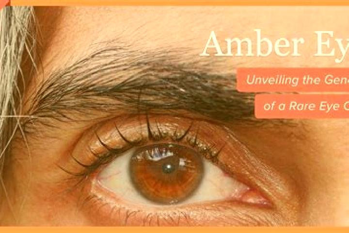 Isabella, 38, a red amber-eyed caucasian companion based in Peal de Becerro. Offering Massage, Overnight, Girlfriend Experience, Erotic Massage. Available fo...