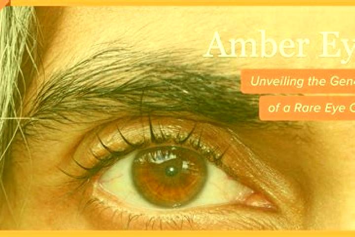 Isabella, 38, a red amber-eyed latina companion based in Norre Nebel. Offering Party Girl, Overnight, 69, Fetish. Available for incall and outcall, day and e...