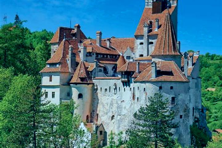 Isabella, 38 — Escort in Miclesti, Romania