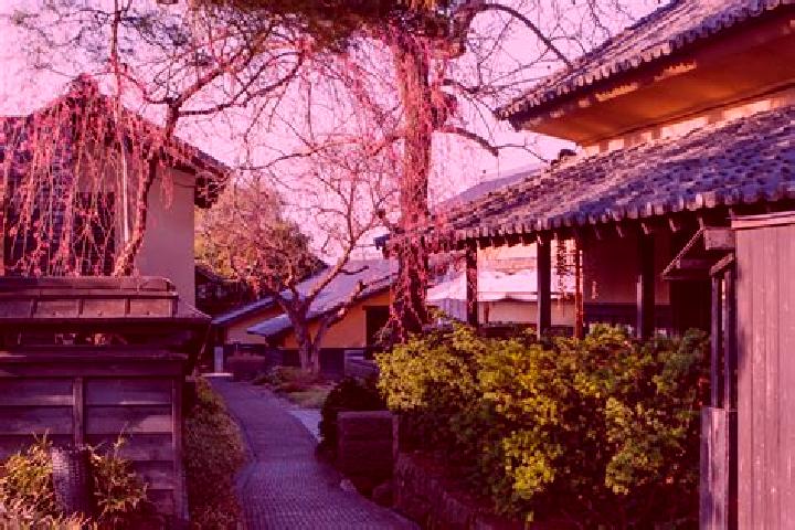Isabella, 39 — Escort in Obuse, Japan