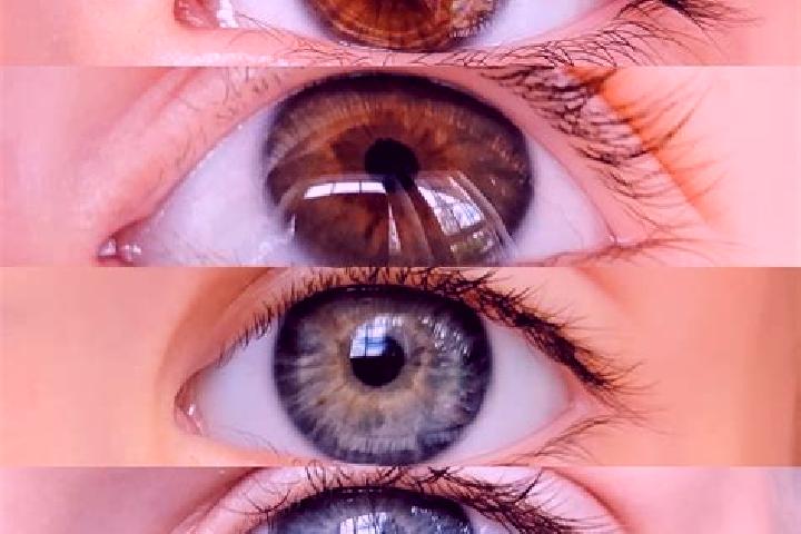 Ivy, 20, a chestnut blue-eyed middle eastern companion based in Altglienicke. Offering Overnight, Couples, BDSM, Domination. Available for incall and outcall...