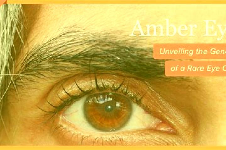 Ivy, 20, a red amber-eyed indian companion based in Chak One Hundred Forty-one Nine Left. Offering Tantra, Roleplay, OWO, 69, Duos. Available for incall and ...