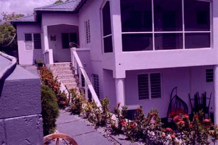 Ivy, 21 — Escort in Buckleys, Antigua and Barbuda