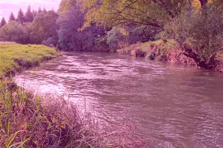 Ivy, 21 — Escort in Mooi River, South Africa