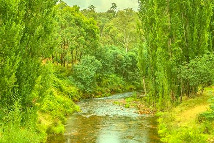 Ivy, 21 — Escort in Waterways, Australia
