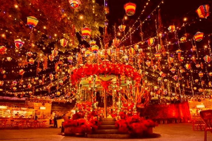 Ivy, 22 — Escort in Colonia la Navidad, Mexico