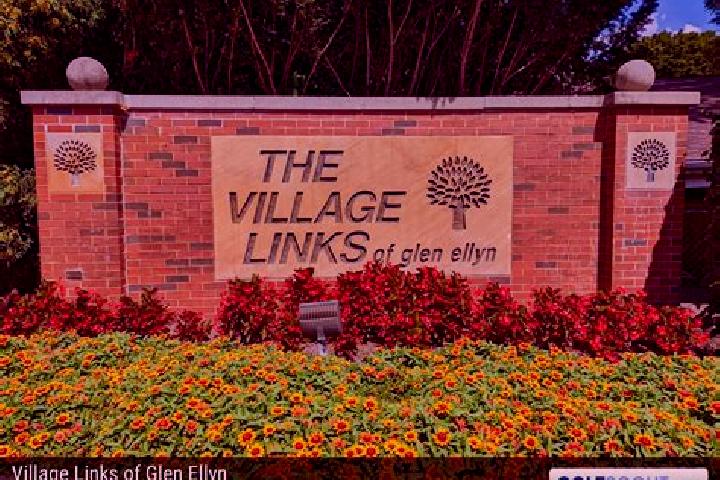 Ivy, 22 — Escort in Glen Ellyn, United States