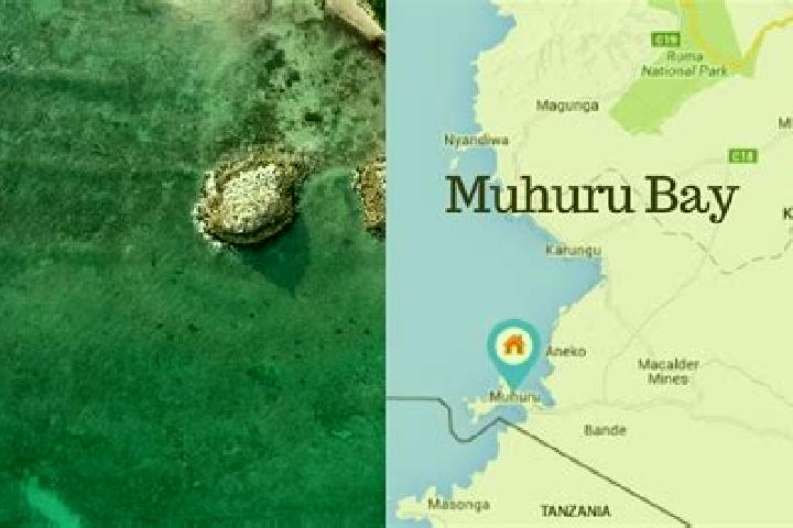 Ivy, 22 — Escort in Muhuru, Kenya