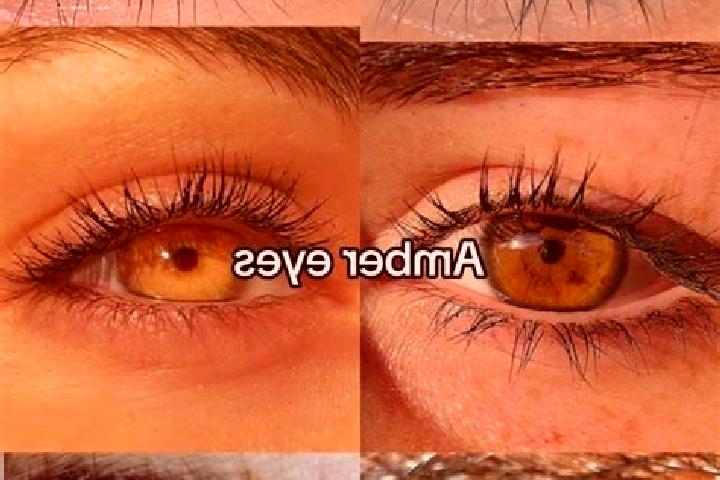 Ivy, 23, a brunette amber-eyed european companion based in Lagnasco. Offering Party Girl, Dinner Date, Overnight. Available for incall and outcall, day and e...