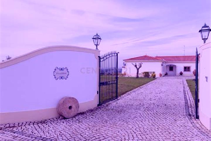 Ivy, 23 — Escort in Moita dos Ferreiros, Portugal