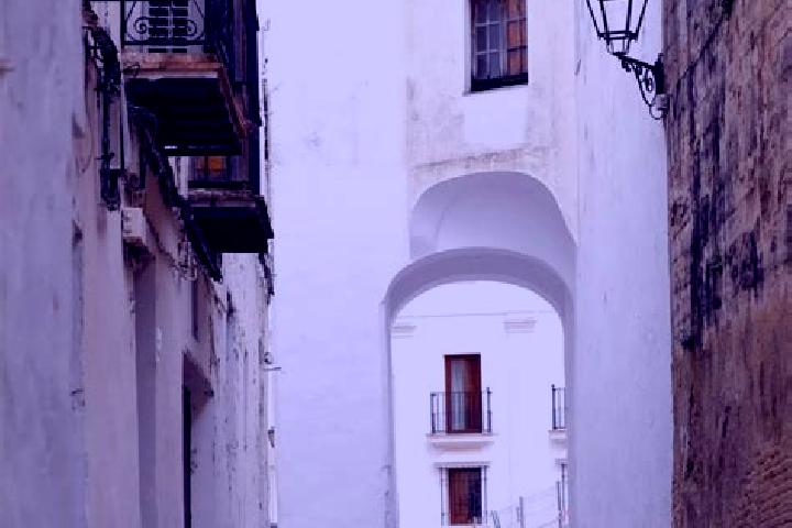 Ivy, 24 — Escort in Arcos de las Salinas, Spain