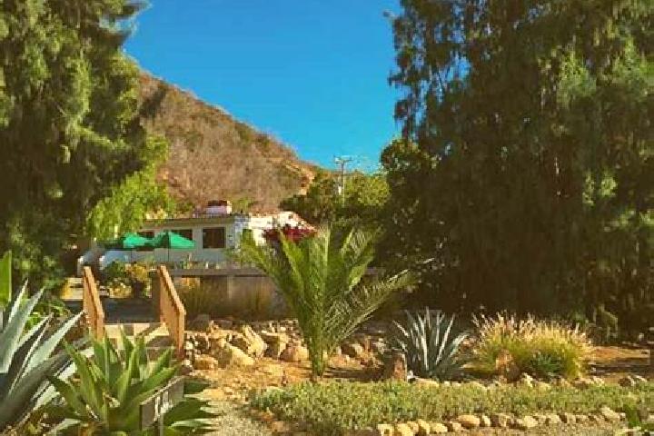 Ivy, 25 — Escort in El Sauzal de Rodriguez, Mexico
