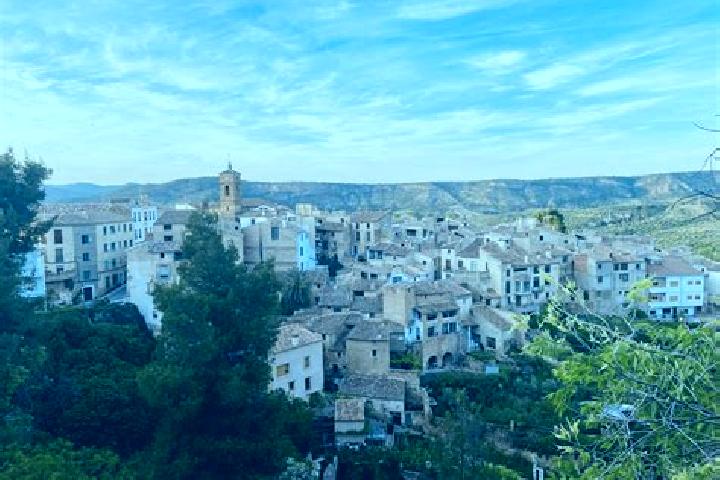 Ivy, 26 — Escort in El Provencio, Spain