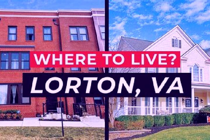 Ivy, 26 — Escort in Lorton, United States