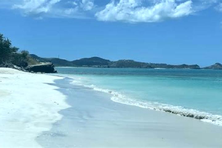 Ivy, 26 — Escort in Sugar Factory, Antigua and Barbuda