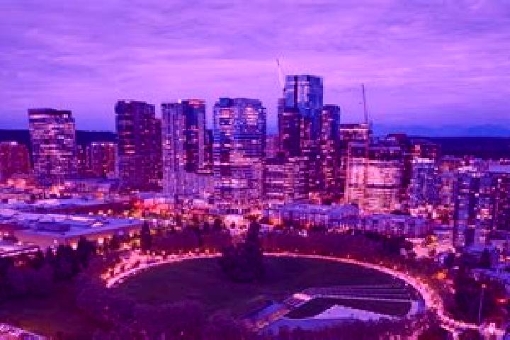 Ivy, 27 — Escort in Bellevue, United States