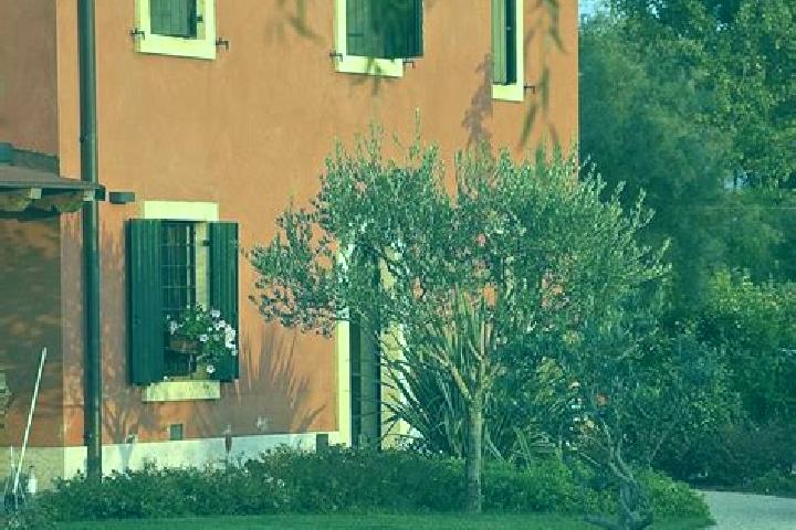 Ivy, 27 — Escort in Bussolengo, Italy
