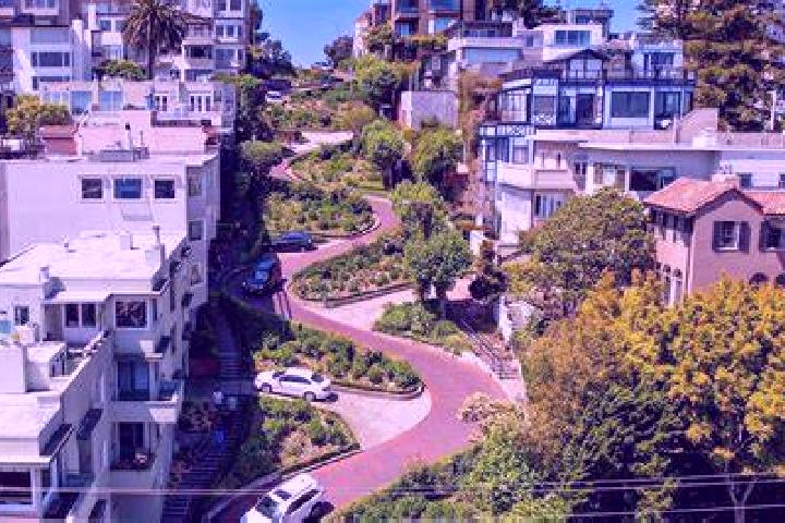 Ivy, 27 — Escort in Lombard, United States