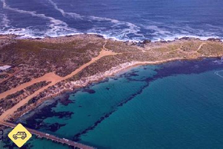 Ivy, 27 — Escort in Picnic Point, Australia
