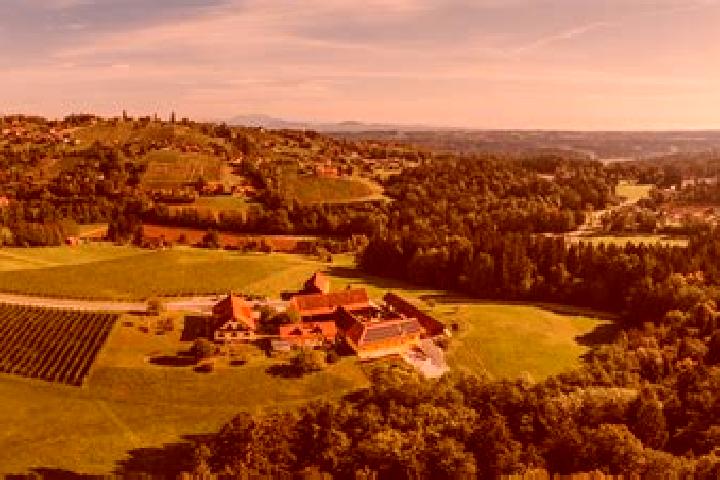 Ivy, 27 — Escort in Sankt Josef (Weststeiermark), Austria