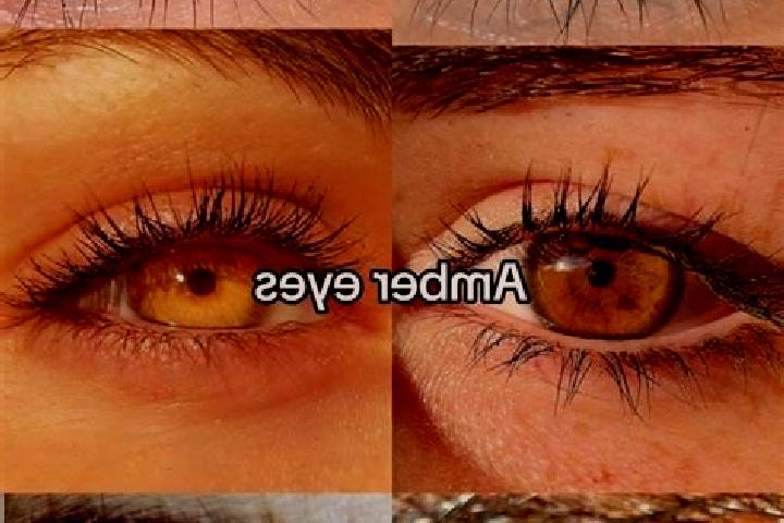 Ivy, 28, a chestnut amber-eyed mediterranean companion based in Onamia. Offering Party Girl, 69, Deep French Kissing, Girlfriend Experience, GFE. Available f...