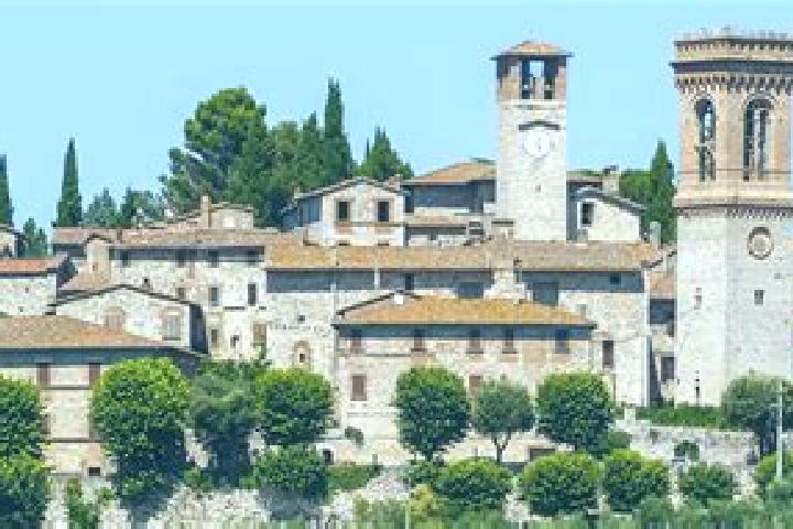 Ivy, 28 — Escort in Corciano, Italy