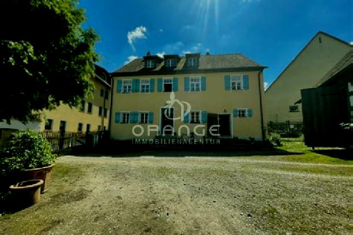 Ivy, 28 — Escort in Engelthal, Germany