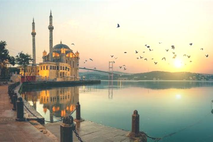 Ivy, 29 — Escort in Mecidiye, Turkey