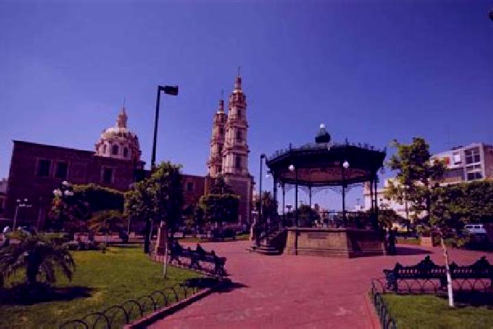 Ivy, 29 — Escort in San Pedro Tepetitlan, Mexico