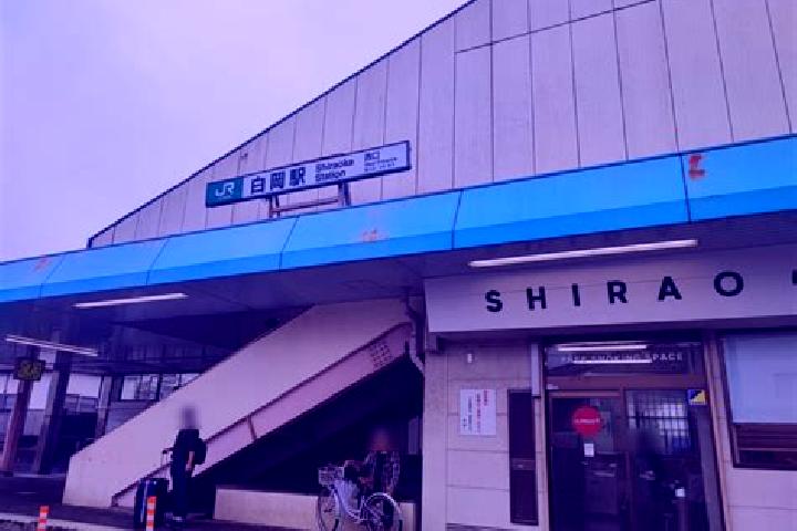 Ivy, 29 — Escort in Shiraoka, Japan