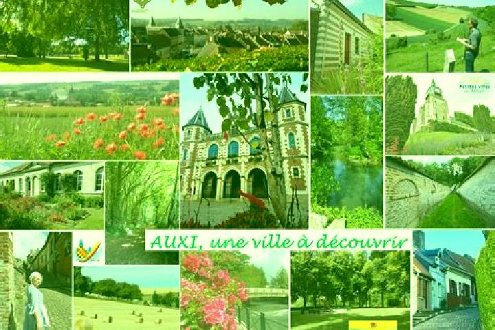 Ivy, 30 — Escort in Auxi-le-Chateau, France