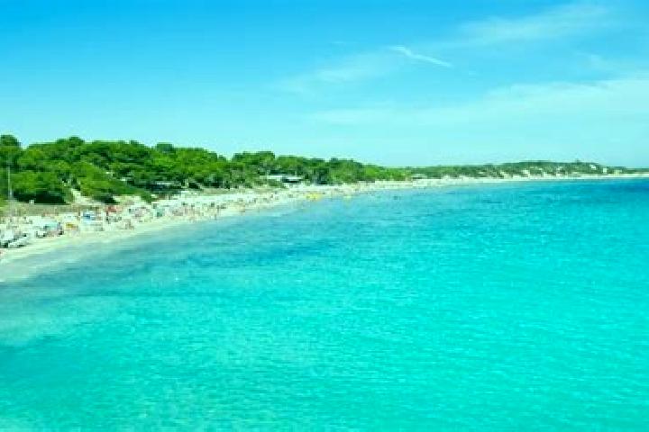 Ivy, 30 — Escort in Ses Salines, Spain