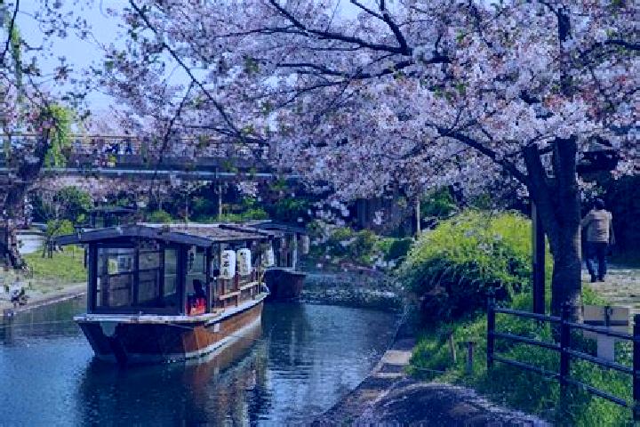 Ivy, 30 — Escort in Takaoka, Japan