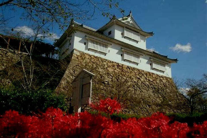 Ivy, 31 — Escort in Tsuyama, Japan