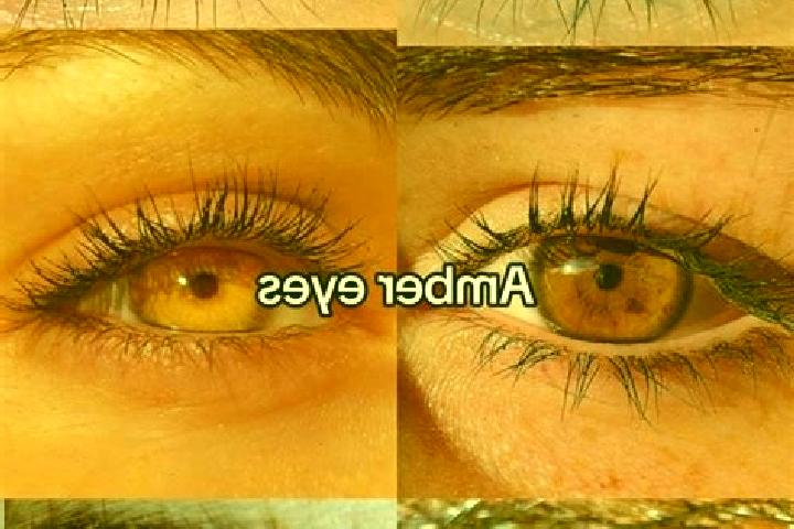 Ivy, 32, a chestnut amber-eyed middle eastern companion based in Palagano. Offering Tantra, Striptease, Prostate Massage. Available for incall and outcall, o...