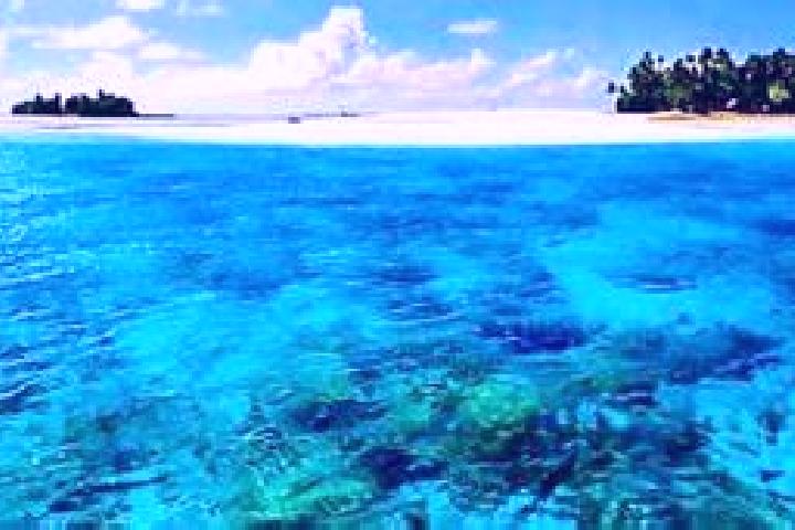 Ivy, 32 — Escort in Banana, Kiribati