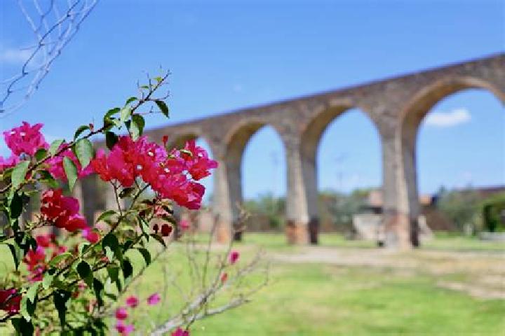 Ivy, 32 — Escort in El Saucillo de Primavera, Mexico