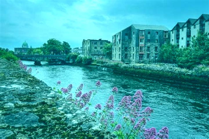 Ivy, 32 — Escort in Galway, Ireland