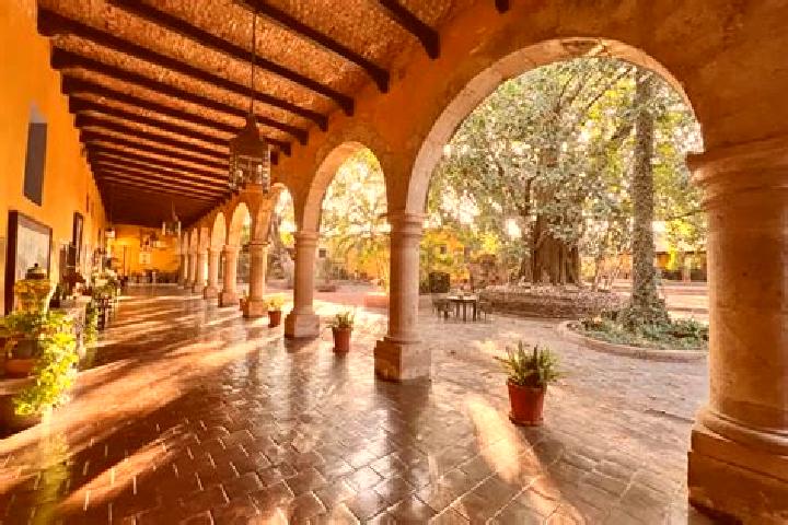 Ivy, 32 — Escort in Jalmolonga (La Hacienda), Mexico